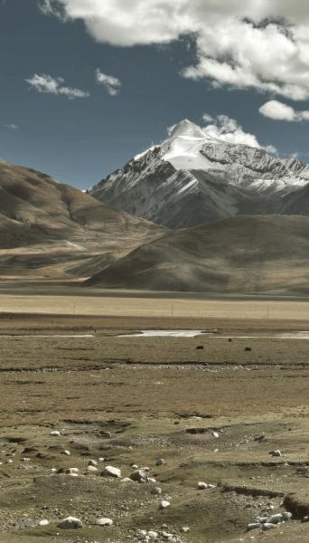 青藏高原在哪里_青藏高原有什么美景