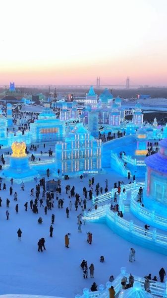 哈尔滨冰雪大世界怎么去_冰雪大世界具体地址在哪