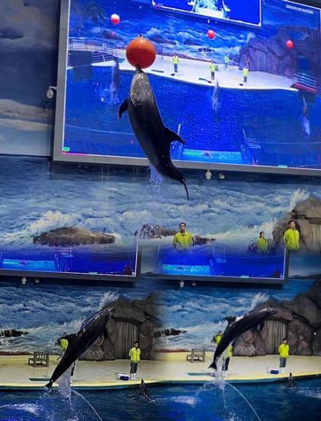 罗源湾冰雪世界门票价格_罗源湾冰雪世界有什么好玩的