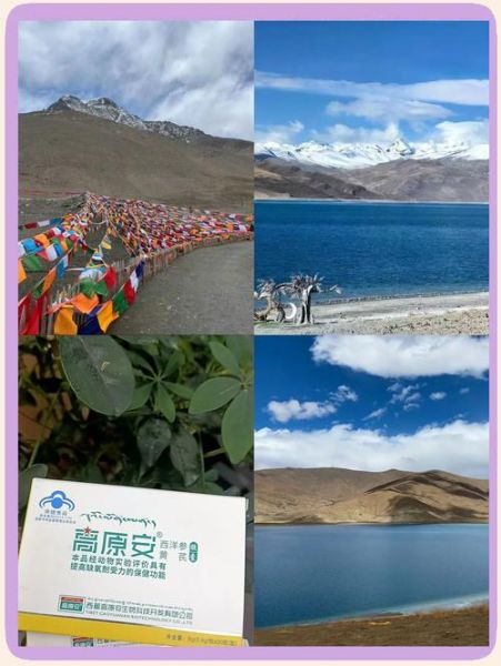 高原地区洗头会不会脱发_高原洗头几天一次最好