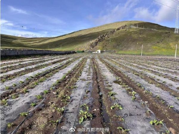 过敏性哮喘能去高原吗_高原旅行注意事项