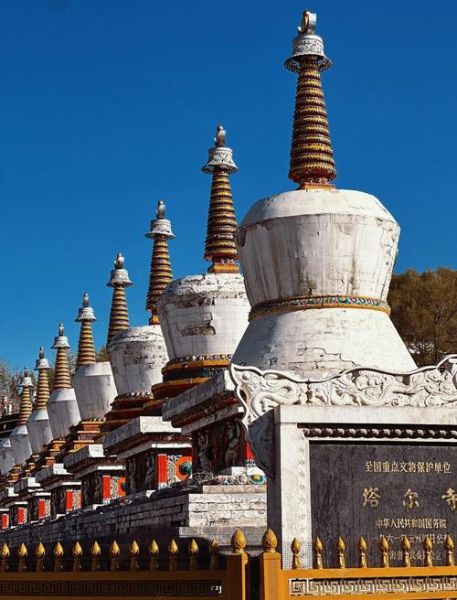 在西宁有高原反应吗_西宁海拔多少米