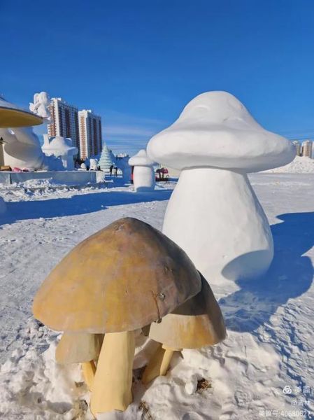 海拉尔冰雪试驾多少钱_海拉尔冰雪试驾值得去吗