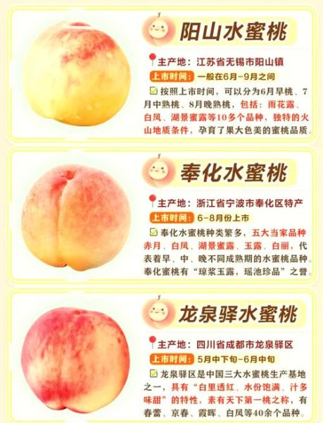 北京水蜜桃哪里买最正宗_北京水蜜桃几月份成熟