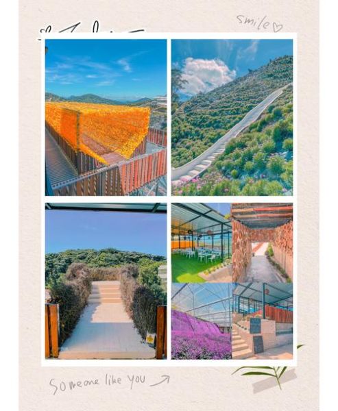 金马伦高原自由行攻略_金马伦高原有什么好玩