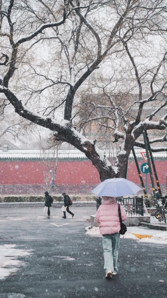 北京会下雪吗_北京什么时候下雪