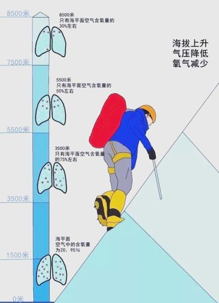 稻城高原反应怎么办_稻城高原反应如何预防