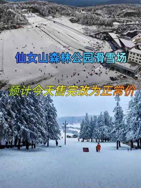 仙女山冰雪世界门票价格_仙女山冰雪世界怎么去