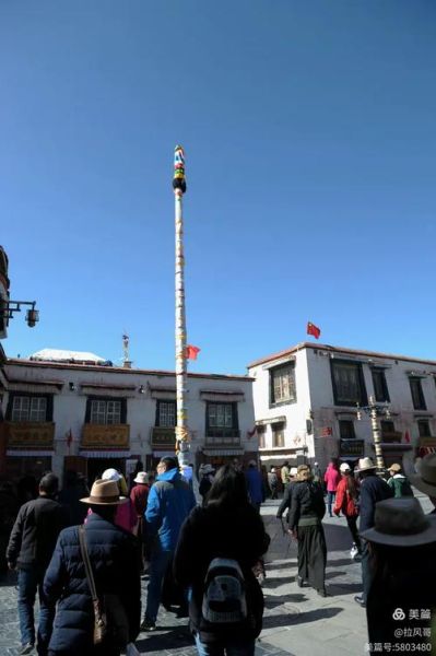 高原的士怎么预约_高原的士价格贵吗