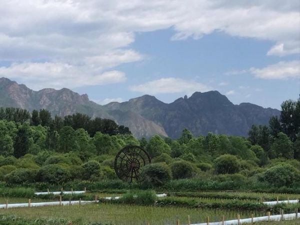 延庆上板泉冰雪小镇怎么去_门票多少钱