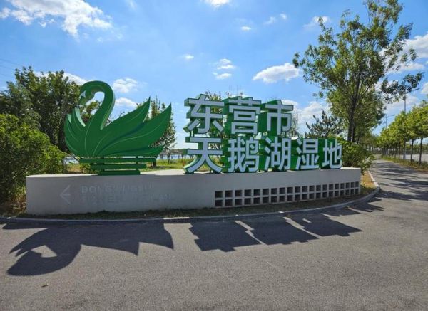 东营户外徒步路线推荐_东营周边露营哪里好