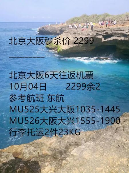 北京飞大阪航班时间_北京到大阪机票价格