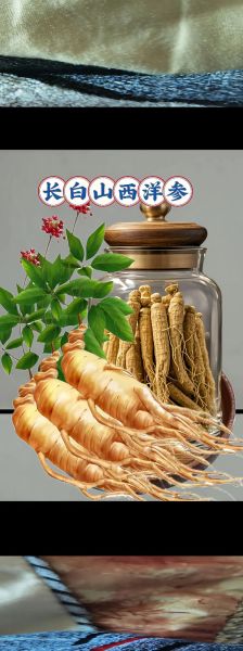 西洋参高原产地在哪里_高原西洋参功效与吃法