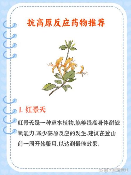 高原反应吃什么药_高原反应如何预防