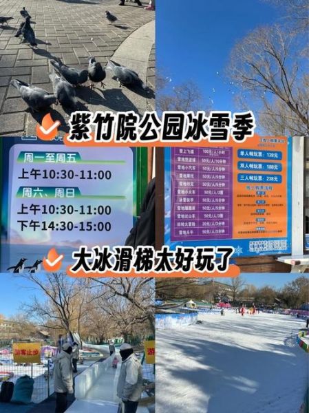 宜宾极地冰雪世界门票价格_开放时间