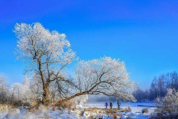 冰雪婆娑是什么_冰雪婆娑在哪里看