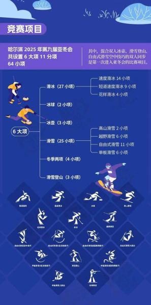 冰雪运动有哪些_初学者适合哪些项目