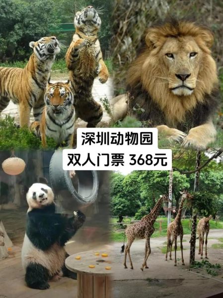 深圳动物园冰雪世界门票价格_深圳动物园冰雪世界好玩吗