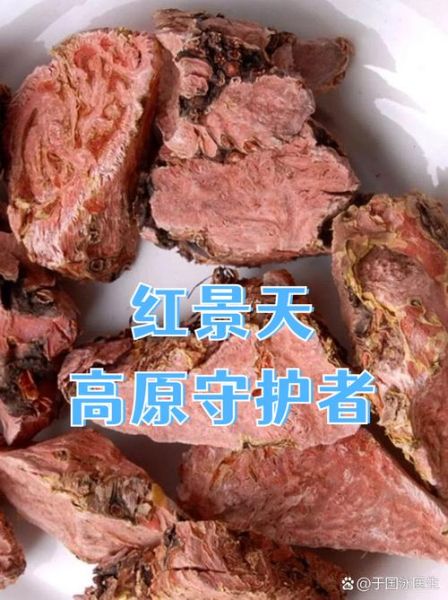 红景天能预防高原反应吗_红景天怎么吃才有效