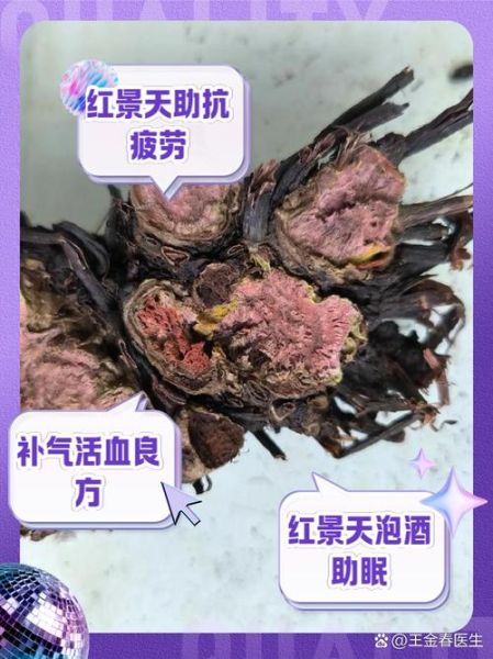 红景天能预防高原反应吗_红景天怎么吃才有效