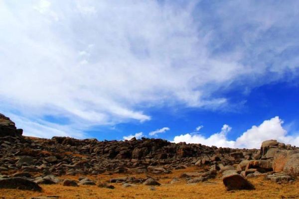 精灵的高原7_10怎么过