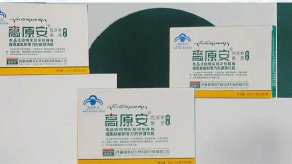 高原必备药有哪些_去高原前吃什么药预防高反