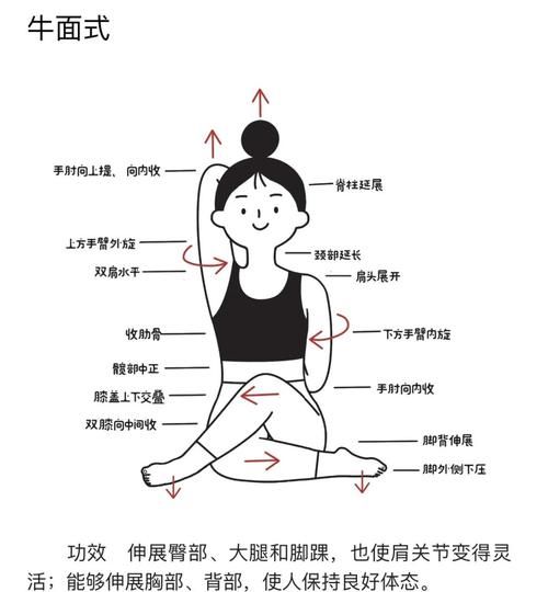 高原瑜伽适合初学者吗_高原瑜伽注意事项