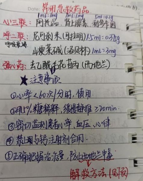 户外常备药品清单_野外受伤怎么处理