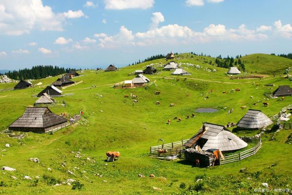 云南高原牧场在哪里_最佳旅游季节