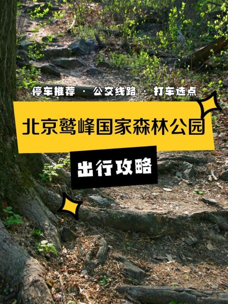 北京森林公园门票多少钱_怎么去最方便