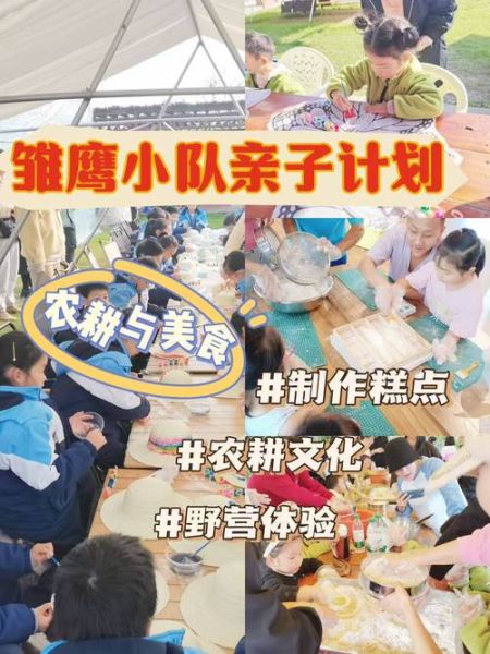 上海户外活动去哪玩_上海周末户外亲子活动推荐