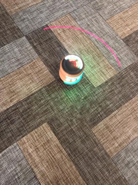 冰雪鞭子是什么_冰雪鞭子怎么用