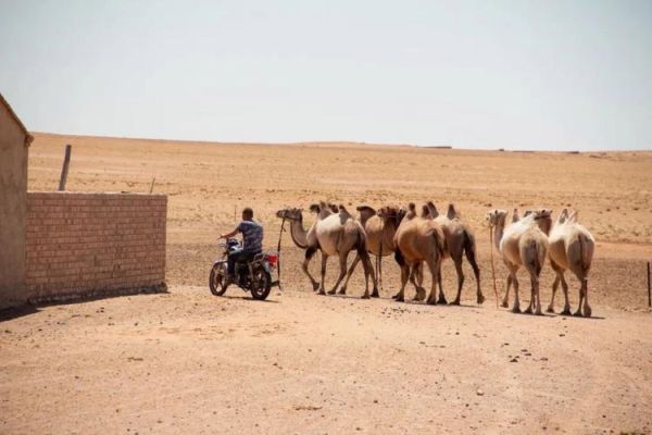 杨凌骆驼户外怎么样_杨凌骆驼户外值得去吗