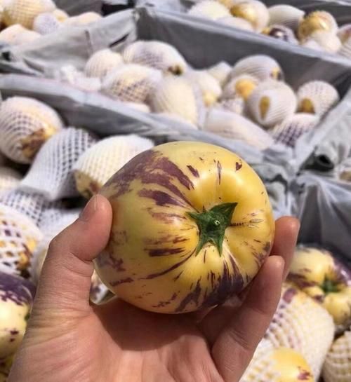 高原定金果多少钱一斤_高原定金果的功效与作用