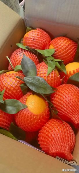 高原定金果多少钱一斤_高原定金果的功效与作用