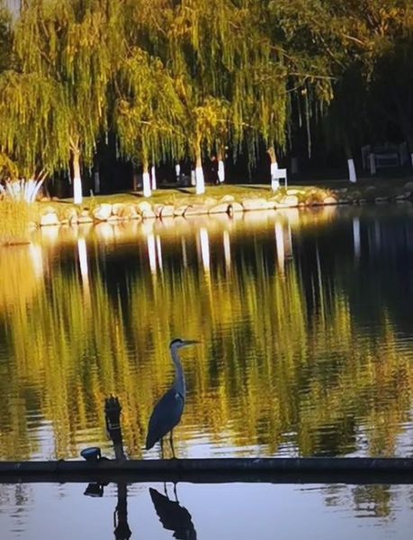 银川海拔多少米_银川属于高原吗