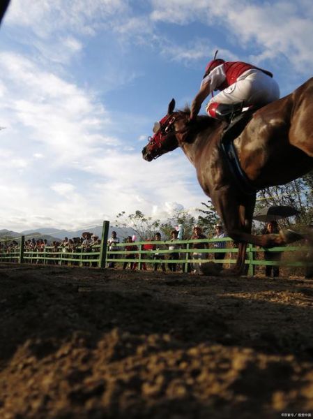 高原赛马场在哪里_高原赛马场海拔多少米