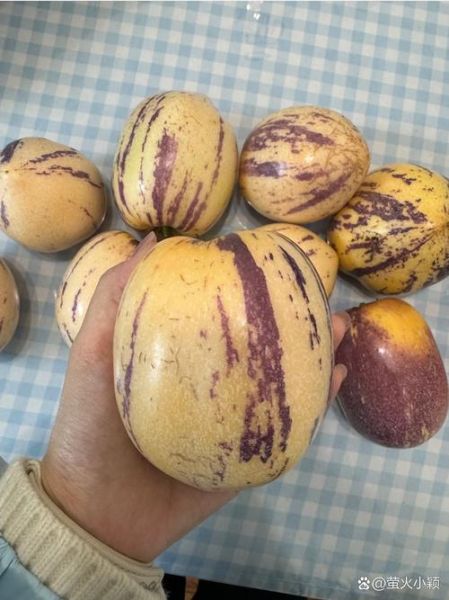 高原定金果多少钱一斤_高原定金果的功效与作用