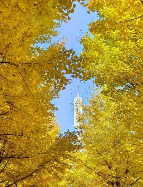 北京丰台区附近旅游景点有哪些_丰台区一日游去哪好