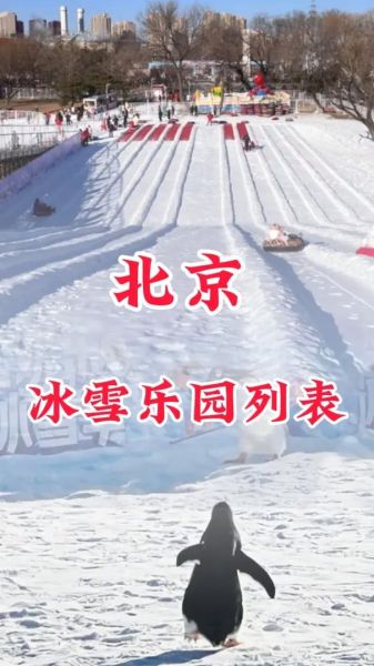 北京冰雪儿童去哪玩_北京冰雪儿童门票多少钱