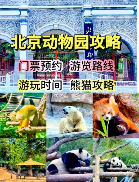 北京动物园门票价格_北京动物园游玩路线