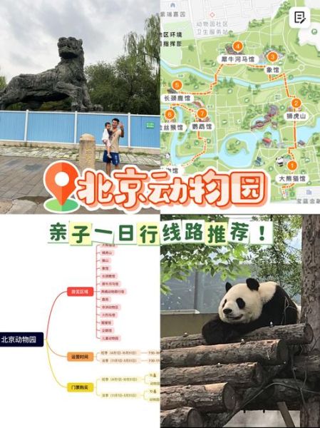 北京动物园门票价格_北京动物园游玩路线