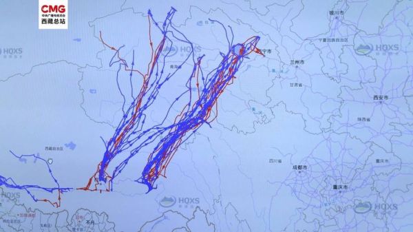 青藏高原野生动物通道有哪些_如何保护迁徙路线