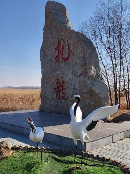 冰雪丹顶鹤在哪里过冬_如何观赏丹顶鹤迁徙