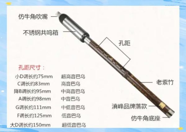 青藏高原巴乌是什么_青藏高原巴乌怎么学