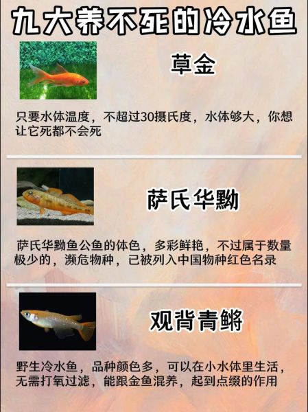 高原冷水鱼有哪些品种_高原冷水鱼怎么养