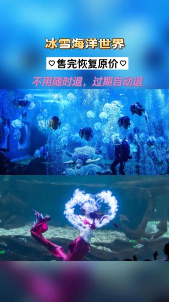 冰雪海洋世界图片大全_高清壁纸哪里下载