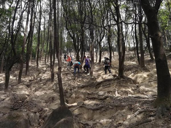 户外舒服吗_户外适合什么天气