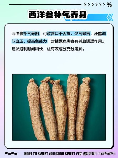 高原西洋参泡水喝的功效_高原西洋参泡水喝的禁忌