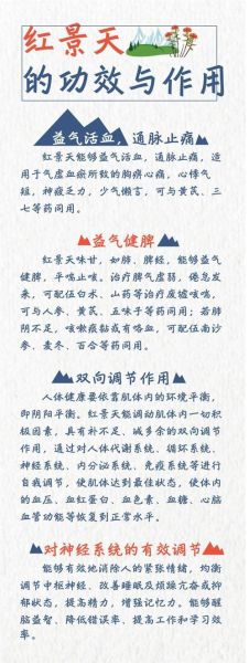 哮喘可以去高原吗_高原哮喘注意事项